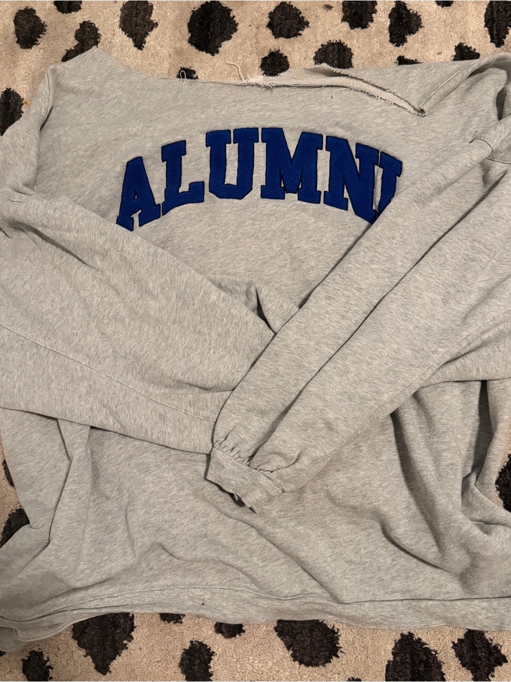 aerie Gray Crewneck Sweatshirt with Blue 'ALUMNI' Lettering